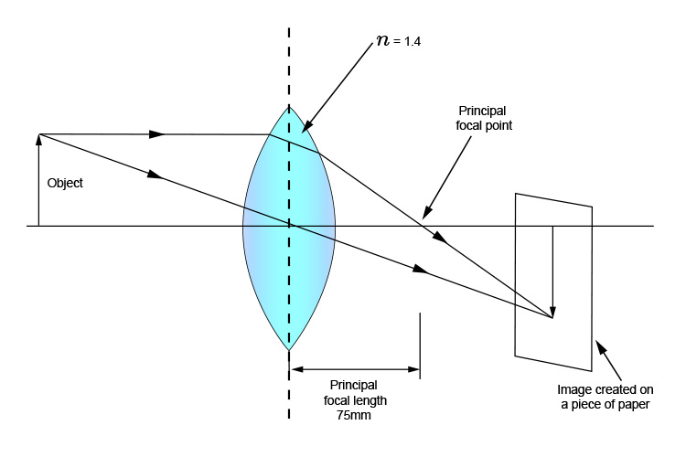 Ray diagram of a convex lens with a refractive index of 1.4